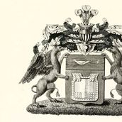 9. Герб рода Яньковых.