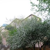 36. Московская весна