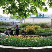26. Знаменитый Морозовский садик