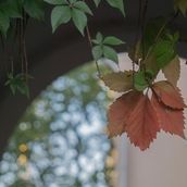 17. Осеннее настроение