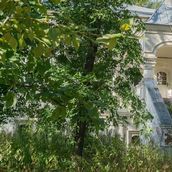 16. Редкое красное крыльцо
