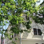 22. На первый взгляд, дом двухэтажный. Но если зайти во двор, можно увидеть третий этаж – антресоль. Так купцы экономили на налогах и не платили за один этаж