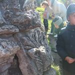 10. Их нужно непременно исследовать!