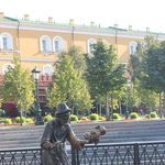 20. Знаменитая золотая рыбка